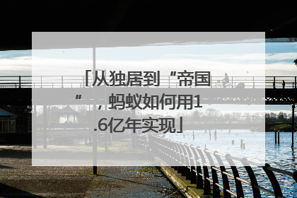 从独居到“帝国”，蚂蚁如何用1.6亿年实现
