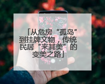 从危房“孤岛”到挂牌文物，传统民居“来其美”的变美之路