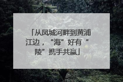 从凤城河畔到黄浦江边，“海”好有“陵”携手共赢