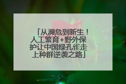 从濒危到新生！人工繁育+野外保护让中国绿孔雀走上种群逆袭之路