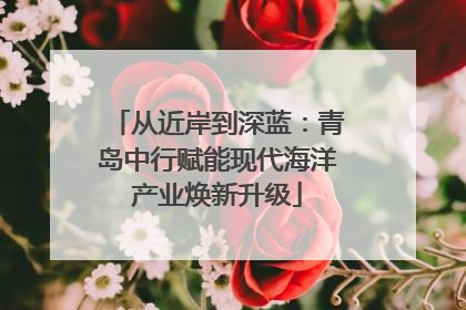 从近岸到深蓝：青岛中行赋能现代海洋产业焕新升级