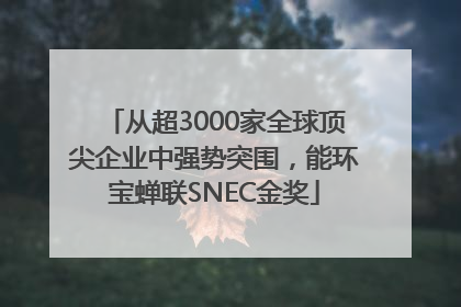 从超3000家全球顶尖企业中强势突围，能环宝蝉联SNEC金奖