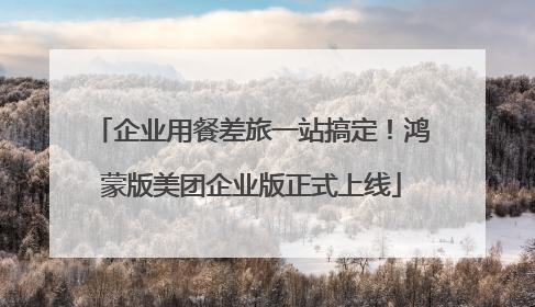 企业用餐差旅一站搞定！鸿蒙版美团企业版正式上线