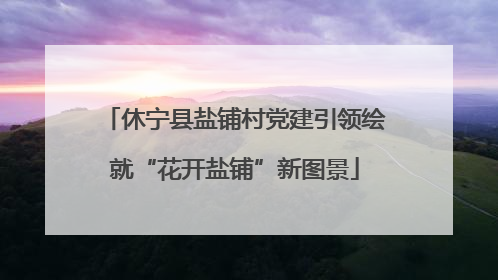 休宁县盐铺村党建引领绘就“花开盐铺”新图景