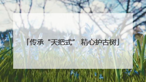 传承“天把式” 精心护古树