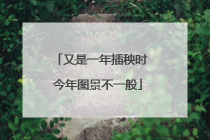 又是一年插秧时 今年图景不一般