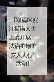 双清区滨江街道人大工委开展“法治护绿护安人大行”活动