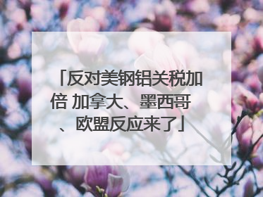 反对美钢铝关税加倍 加拿大、墨西哥、欧盟反应来了