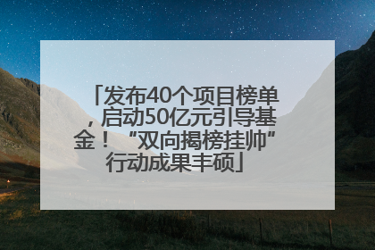 发布40个项目榜单，启动50亿元引导基金！“双向揭榜挂帅”行动成果丰硕