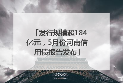 发行规模超184亿元，5月份河南信用债报告发布