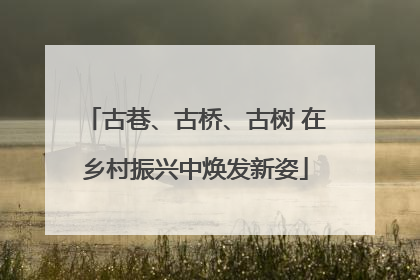 古巷、古桥、古树 在乡村振兴中焕发新姿