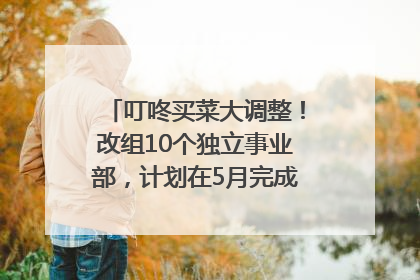 叮咚买菜大调整！改组10个独立事业部，计划在5月完成App端全面改版
