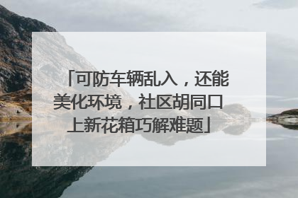 可防车辆乱入，还能美化环境，社区胡同口上新花箱巧解难题