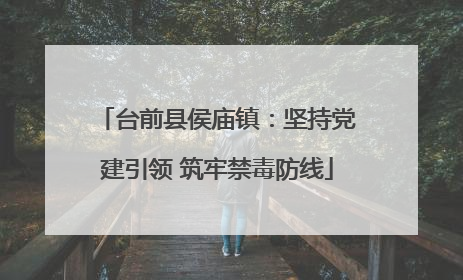 台前县侯庙镇：坚持党建引领 筑牢禁毒防线