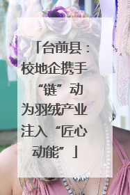 台前县：校地企携手“链”动 为羽绒产业注入“匠心动能”