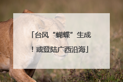 台风“蝴蝶”生成！或登陆广西沿海