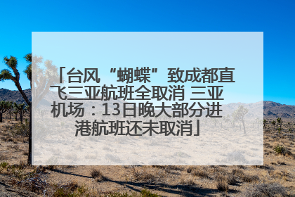 台风“蝴蝶”致成都直飞三亚航班全取消 三亚机场：13日晚大部分进港航班还未取消