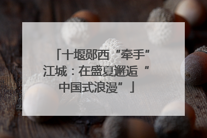 十堰郧西“牵手”江城：在盛夏邂逅“中国式浪漫”