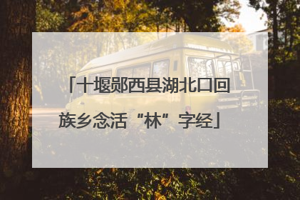 十堰郧西县湖北口回族乡念活“林”字经