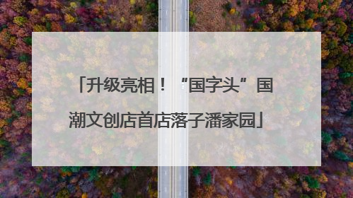 升级亮相！“国字头”国潮文创店首店落子潘家园