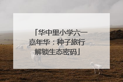 华中里小学六一嘉年华：种子旅行解锁生态密码