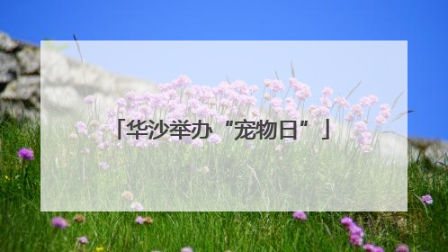 华沙举办“宠物日”