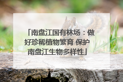 南盘江国有林场：做好珍稀植物繁育 保护南盘江生物多样性