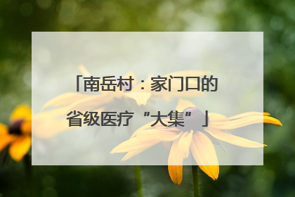 南岳村：家门口的省级医疗“大集”