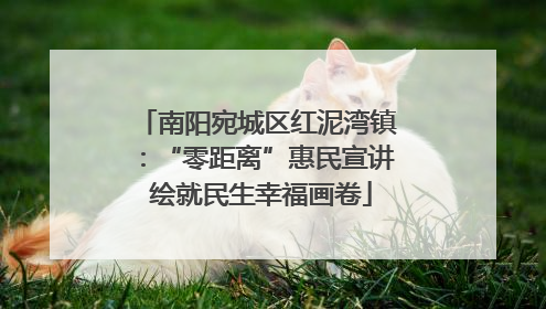 南阳宛城区红泥湾镇：“零距离”惠民宣讲 绘就民生幸福画卷