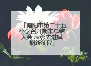 南阳市第二十五小学召开期末总结大会 表彰先进赋能新征程