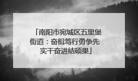 南阳市宛城区五里堡街道：奋楫笃行勇争先 实干奋进结硕果
