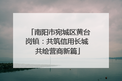 南阳市宛城区黄台岗镇：共筑信用长城 共绘营商新篇