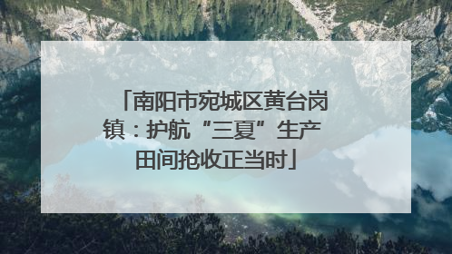 南阳市宛城区黄台岗镇：护航“三夏”生产 田间抢收正当时
