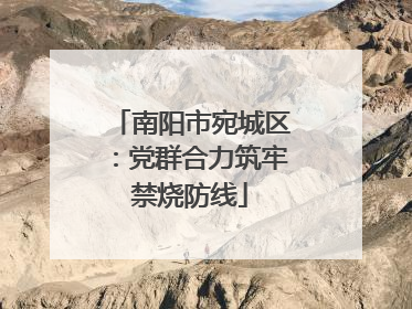 南阳市宛城区：党群合力筑牢禁烧防线