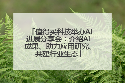 值得买科技举办AI进展分享会：介绍AI成果、助力应用研究、共建行业生态