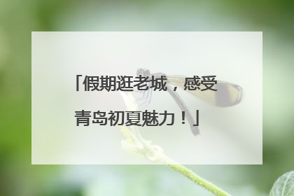 假期逛老城，感受青岛初夏魅力！