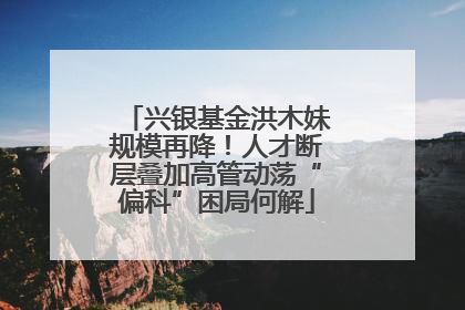 兴银基金洪木妹规模再降！人才断层叠加高管动荡“偏科”困局何解
