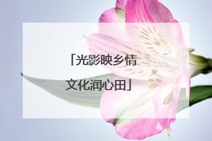 光影映乡情 文化润心田