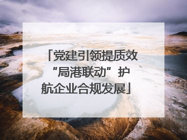 党建引领提质效 “局港联动”护航企业合规发展