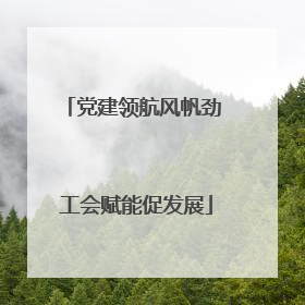 党建领航风帆劲 工会赋能促发展
