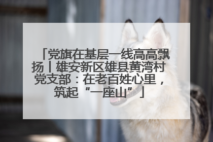 党旗在基层一线高高飘扬丨雄安新区雄县黄湾村党支部：在老百姓心里，筑起“一座山”