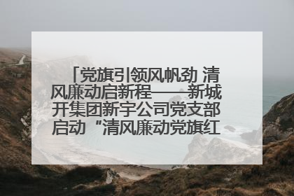 党旗引领风帆劲 清风廉动启新程——新城开集团新宇公司党支部启动“清风廉动党旗红”系列活动