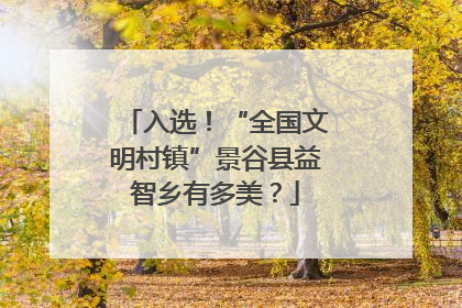 入选！“全国文明村镇”景谷县益智乡有多美？
