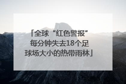 全球“红色警报”  每分钟失去18个足球场大小的热带雨林