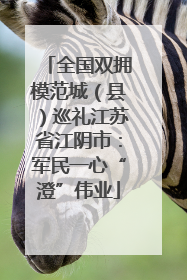 全国双拥模范城（县）巡礼江苏省江阴市：军民一心“澄”伟业