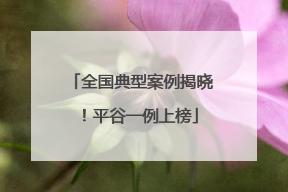 全国典型案例揭晓！平谷一例上榜