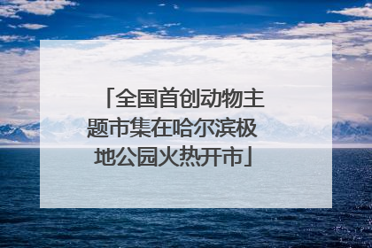全国首创动物主题市集在哈尔滨极地公园火热开市