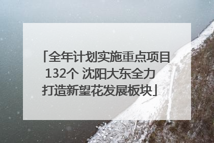 全年计划实施重点项目132个 沈阳大东全力打造新望花发展板块