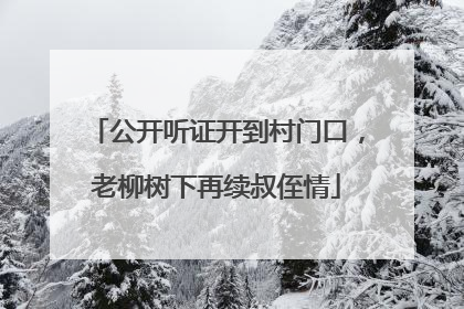 公开听证开到村门口，老柳树下再续叔侄情