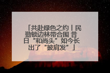 共赴绿色之约丨民勤锁边林带合围 昔日“和尚头”如今长出了“披肩发”